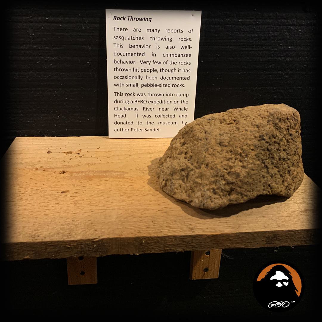 Squatch_Hotspot's tweet photo. Tossing a large stone is a good warning. 
.
.
.
.
.
.
 #nftnews #ethereum #nftcommunity #Bitcoin #NFT #nftart #NFTs https://t.co/LtJbh8fgPm