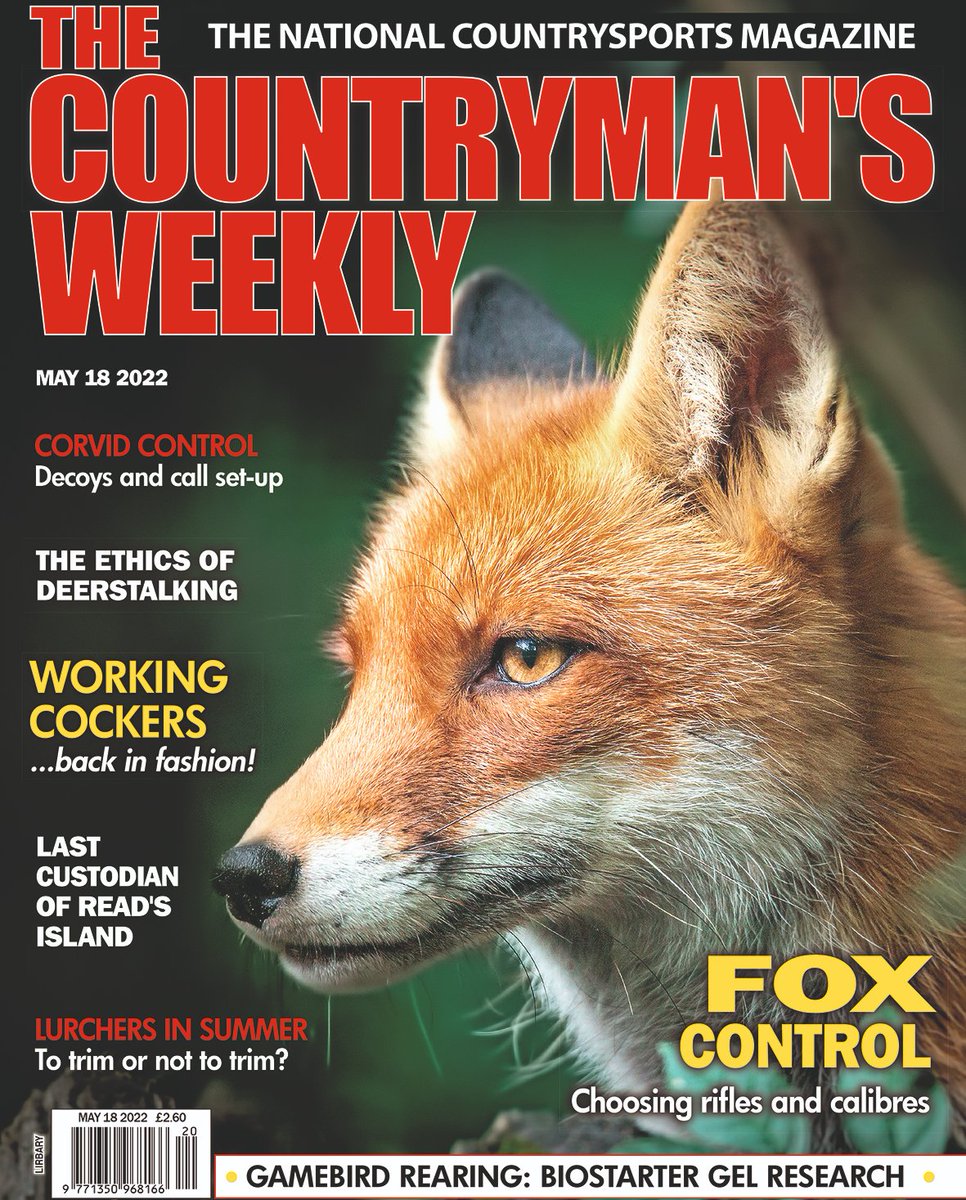 SteveGrant67's tweet photo. New issue of @CountrymansW in the shops tomorrow featuring #foxcontrol #corvidcontrol #deerstalking #gundogs #lurchers, words of wisdom from @jimbarrington &amp; @jcjeremyhobson &amp; a look at the legacy of a cultural landscape by @GwctScotland Rory Kennedy #Cairngorms @Gameandwildlife https://t.co/nHOmuXIg0M