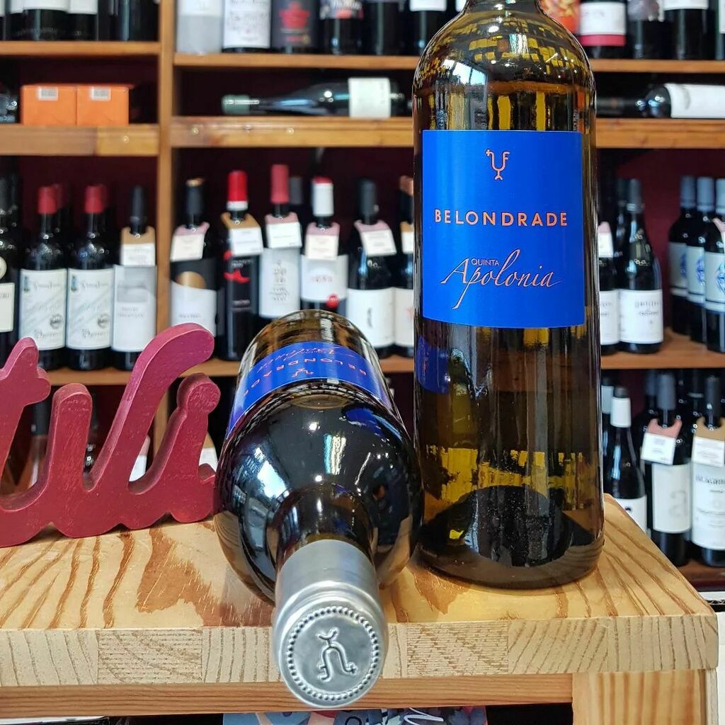 #QUINTAAPOLONIABELONDRADE 🍷
Vino blanco monovarietal, 100% Verdejo procedente de viñedos jóvenes 🍷 Un vino con multitud de matices aromáticos que muestra la frescura y complejidad del verdejo. 

Una exquisitez de vino que no debes dejar de probar ¿te… instagr.am/p/CdqwG_Ftce6/