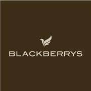 inchpaper's tweet photo. Happy to announce that @inchpaper has signed an annual contract with @BlackberrysMens for the supply of Stationery to its four Manufacturing Plants in India and retail stores across India. 

Big Day

#inchpaper #Blackberrys #Announcement #bigday #fortheloveofstationery https://t.co/O9FN88UwVF
