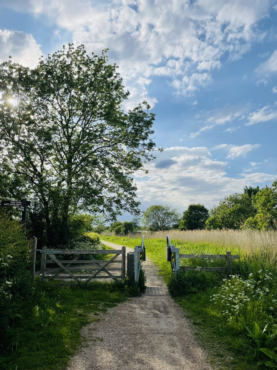 cheepcheepbird's tweet photo. Tuesday run done! 

I must admit, I wasn’t in the mood for running this evening; I was tired. But, so glad I made the effort - it’s revitalised me! 

#run #running #Tuesday #Motivation #TuesdayMotivaton #makingtheeffort https://t.co/XKw9Ns44Px