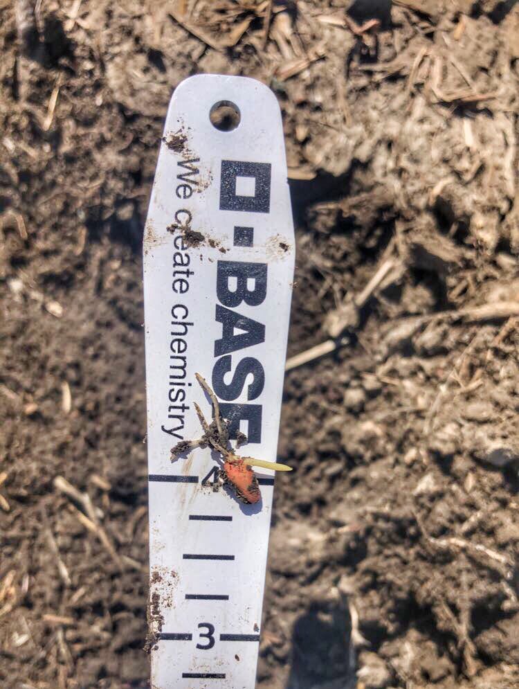 Kelli Burnett tweet media