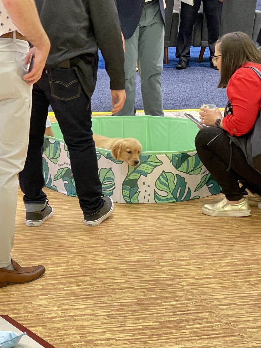 iN2L_LifeLoop's tweet photo. Day 2 at Argentum and tails are wagging! Stop by booths 1019 and 530 and say hello to the IN2L and LifeLoop team! Weโd love to hear about what your #seniorliving community has been up to in the past year!
#slec2022 #iN2L #LifeLoop #seniorcare #technology https://t.co/COGGaAZLiS
