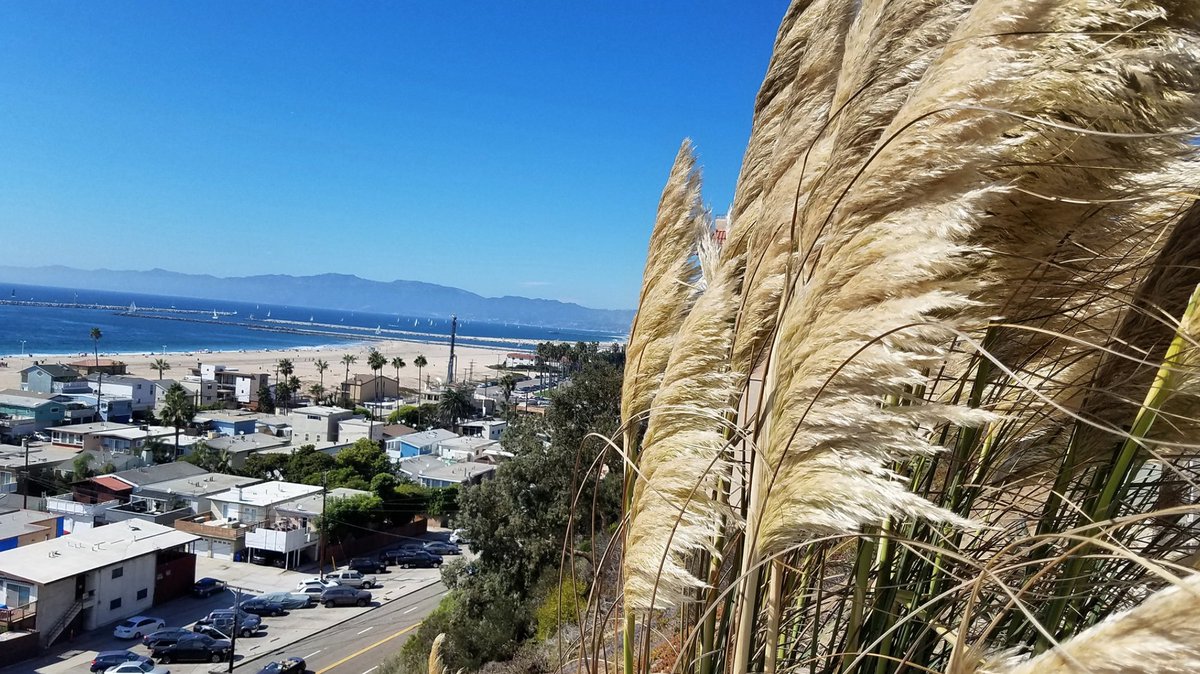 TaurianImages's tweet photo. The Hills Above Playa Del Rey; Playa Del Rey CA  #PlayaDelRey #SonyNexF3 #SoCal 
#TaurianImages #nftphotography #TaurianImages https://t.co/XvbHHV7pNn
