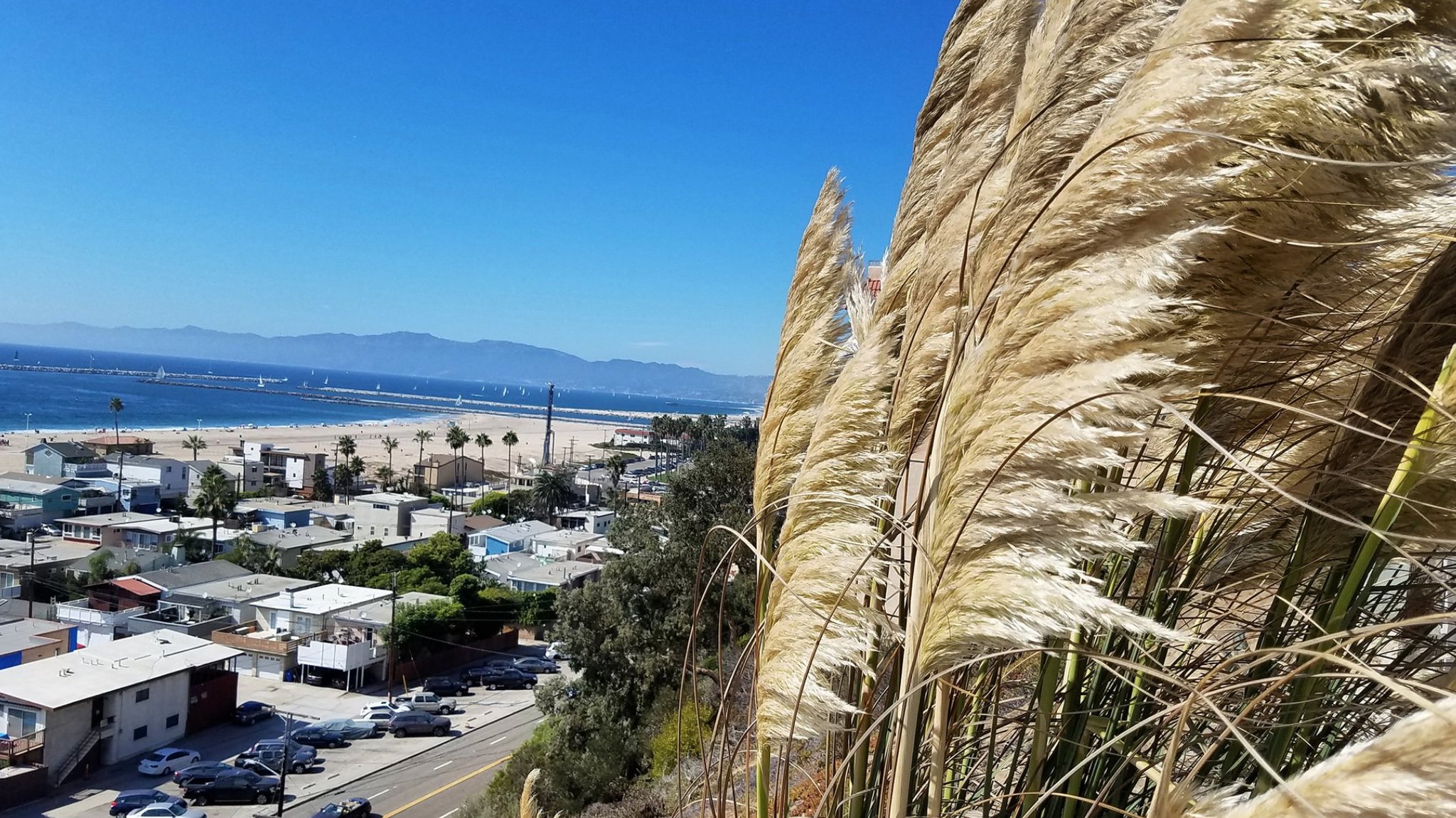 Jeff on Twitter "The Hills Above Playa Del Rey; Playa Del Rey CA PlayaDelRey SonyNexF3 SoCal