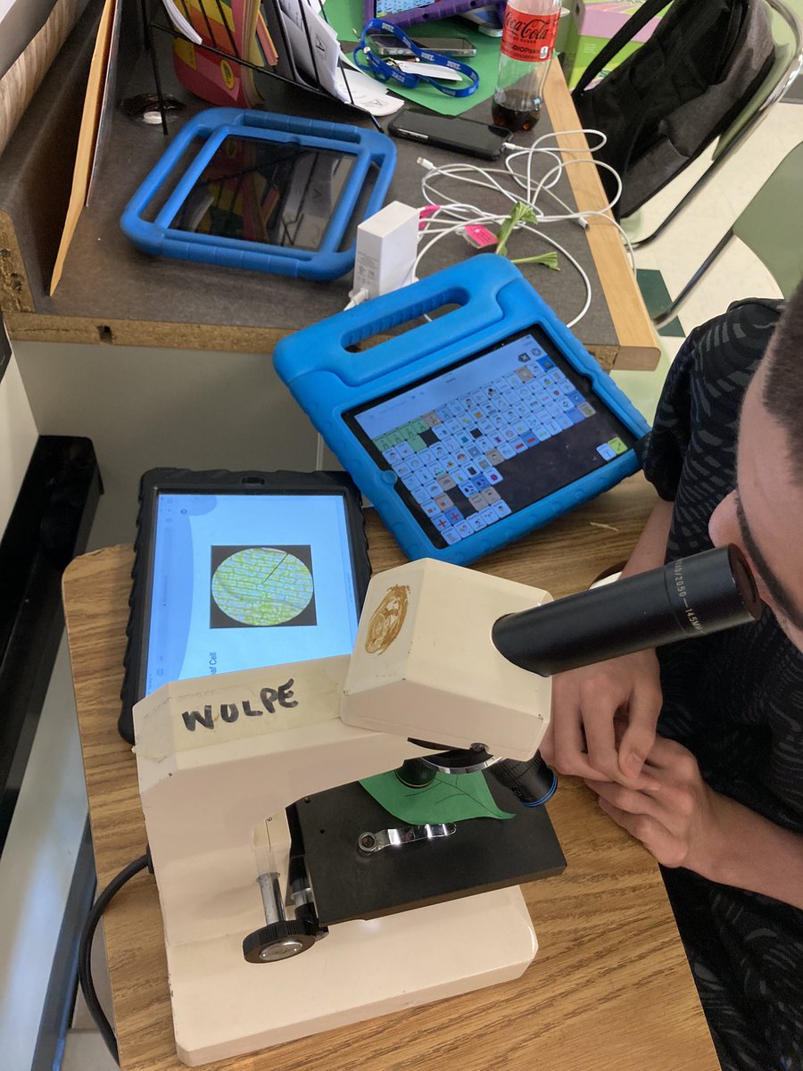CDaviesEDU's tweet photo. Living things have cells! We looked a paper leaf and a leaf from a plant in a microscope and compared it to a picture of a plant cell. We talked about which were the “same” and “different” and which “is” living and “not” living @AttainmentCo @APSscience https://t.co/kLH42ekOD7