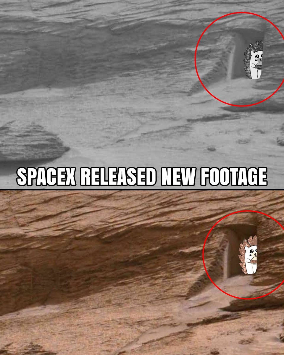 HedgehogsNFT's tweet photo. Dafuq, @SpaceX released some new footage 🦔👽🛸 https://t.co/CfVxYQYT1d