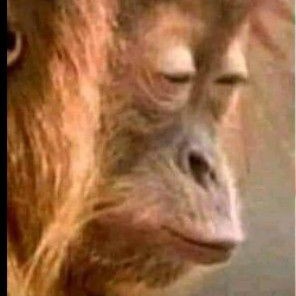 oscaffe2's tweet image. #NouvellePhotoDeProfil