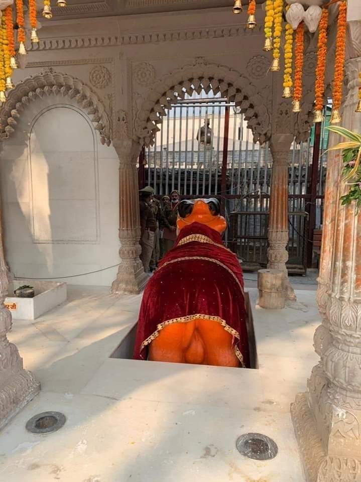 thakurakash101's tweet photo. अब बुलडोजर बाबा की प्रतीक्षा करते नंदी महाराज।।🙏 https://t.co/Fj59k7Lf1Q