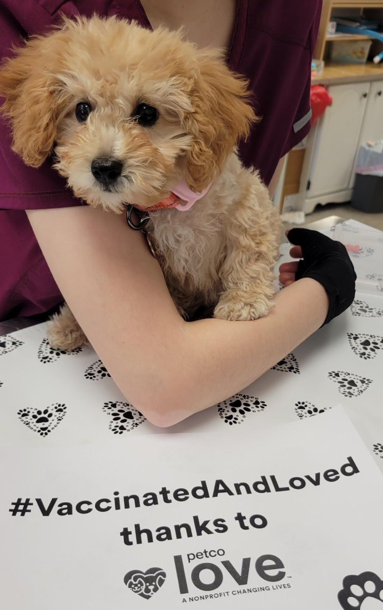 4SNiPit's tweet photo. WELLNESS &amp; VACCINES CLININCS
Every Wednesday from 9am to 4:45pm. Book your appointment today, https://t.co/jAy6RqngUb 
WALK-INS WELCOME BETWEEEN 1PM &amp; 4PM https://t.co/5kXcHErFWa