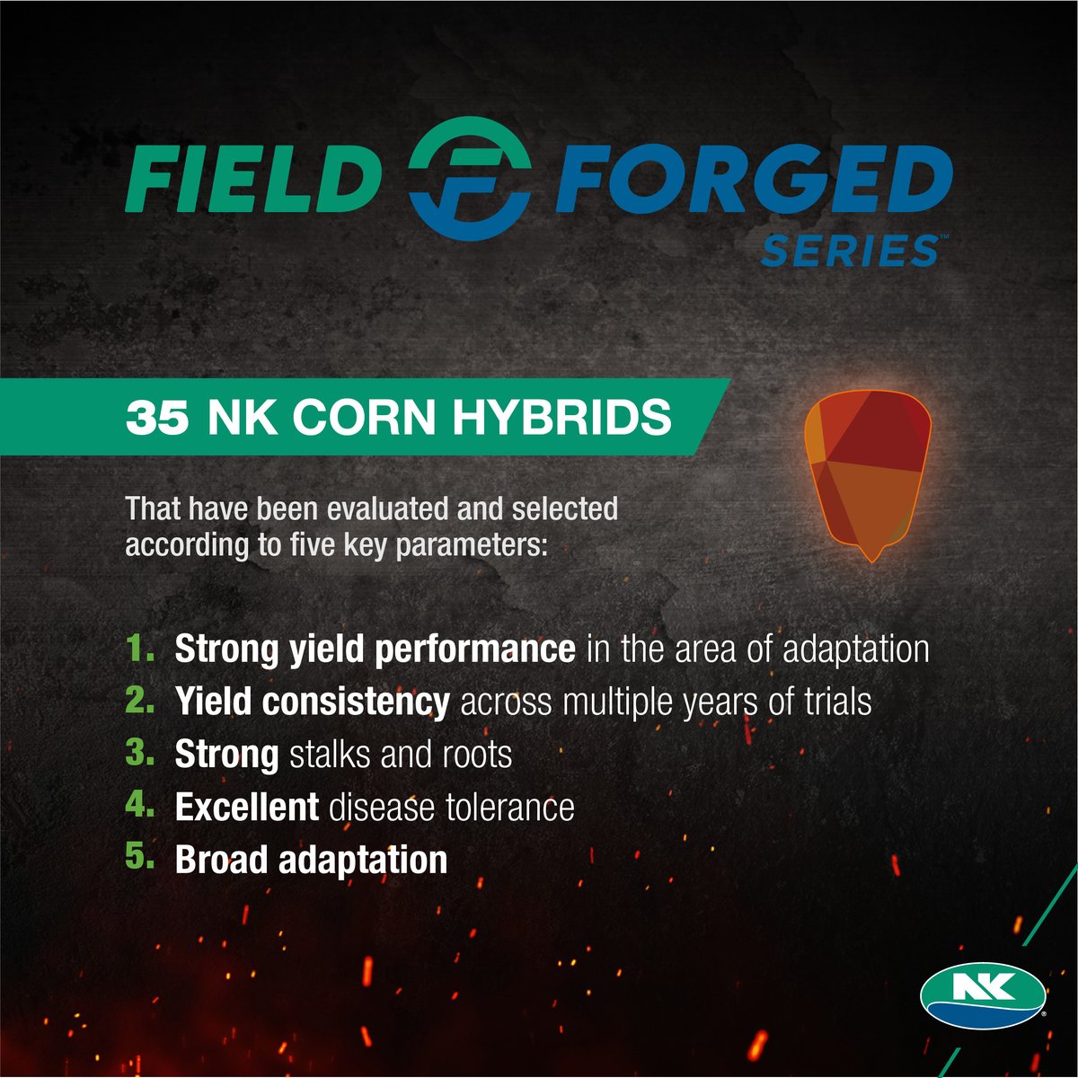 NKSeeds's tweet photo. Only the best of the best have what it takes to join the 2023 Field Forged class. Be the first to see the new class: https://t.co/NP4Um285Yx https://t.co/nQyhbLVEyd