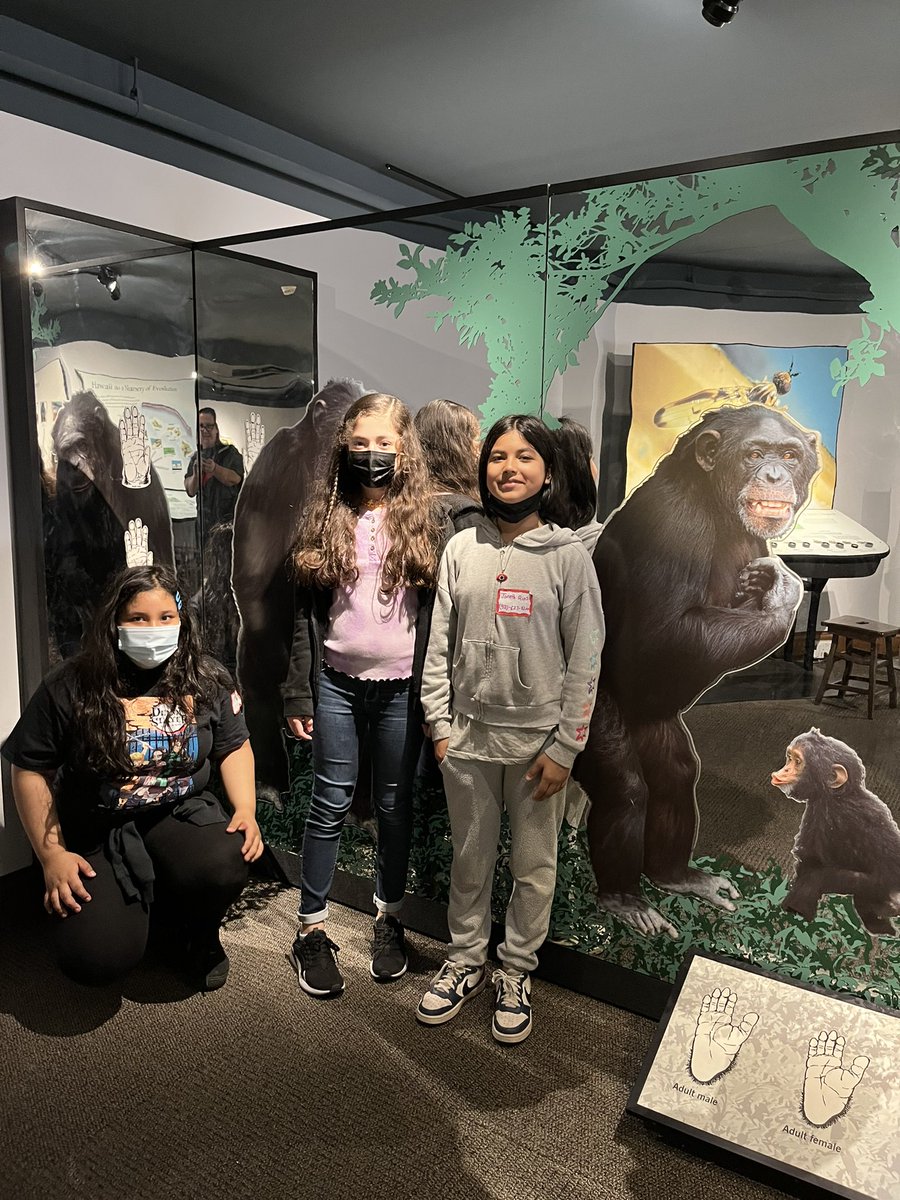MTBullpups's tweet photo. Mark Twain 5th Graders enjoying the University of Kansas Natural History Museum. #ku #Jayhawks @MTBullpups #collegevisit #futurecollegegraduates https://t.co/THtuzEYc37