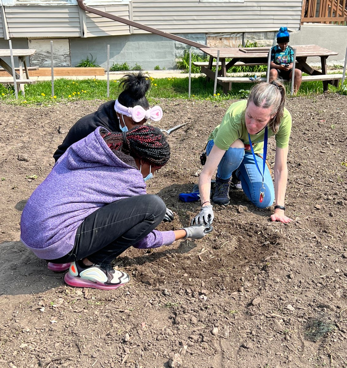 walnut_way's tweet photo. Last week, North Division students helped our environmental team in the gardens! The group planted corn seeds and once the corn comes up, they will plant beans and peas that will grow on the sturdy corn stalks.
#lindsayheights #environmentalstewardship #walnutway #urbanag https://t.co/Rgn8ZPqBuO