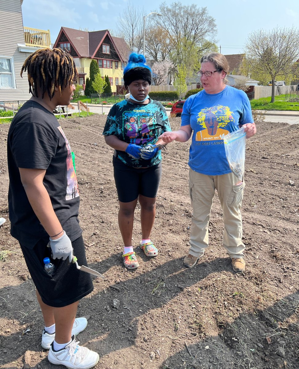 walnut_way's tweet photo. Last week, North Division students helped our environmental team in the gardens! The group planted corn seeds and once the corn comes up, they will plant beans and peas that will grow on the sturdy corn stalks.
#lindsayheights #environmentalstewardship #walnutway #urbanag https://t.co/Rgn8ZPqBuO