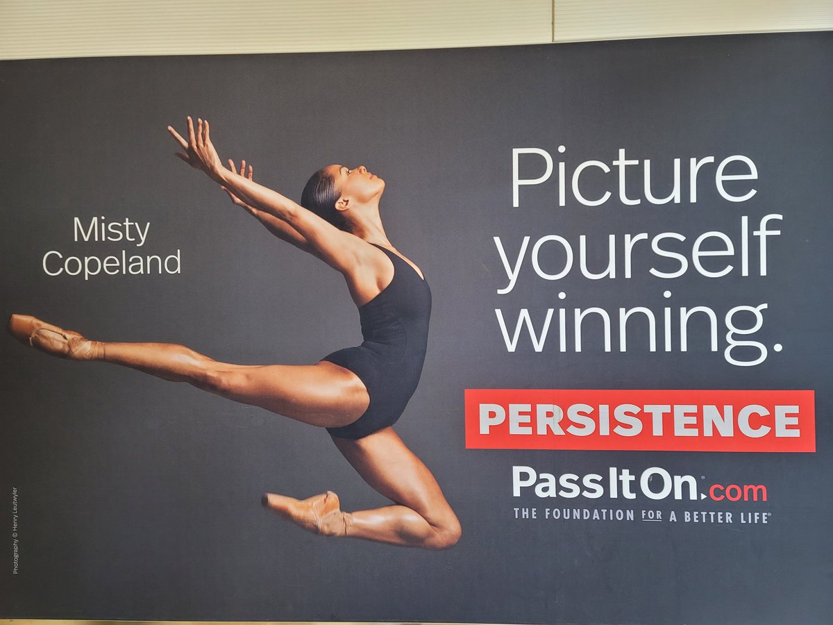 My mentor frequently counseled "patience and persistence." You are capable of your Heart's Desire ❤." (Billboard from the DC airport.)
nancyregan.com
#patience