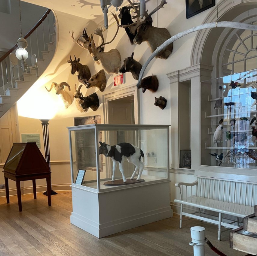 CTfastrak's tweet photo. Celebrate #InternationalMuseumDay with FREE admission to historical exhibits at CT's Old State House on May 18th. @CTOldStateHouse
And get there for FREE with CTfastrak! 🚎
📍A few minutes walk from the Travelers stop.
#FareFree #CTfastrak #CentralCT #StateImIn https://t.co/yHn6pUlDnt