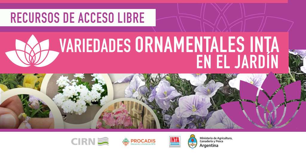 intaprocadis's tweet photo. 🌸 2022 con variedades #ornamentales #INTA en el jardín 🌼
💻 Curso gratuito y virtual
Accedé desde aquí 👉 https://t.co/OBgjnIezUK
#PROCADIS
#cursosonline #cursosgratis #CursosVirtuales #cursos2021 #cursosgratuitosonline https://t.co/re0qSCB11a