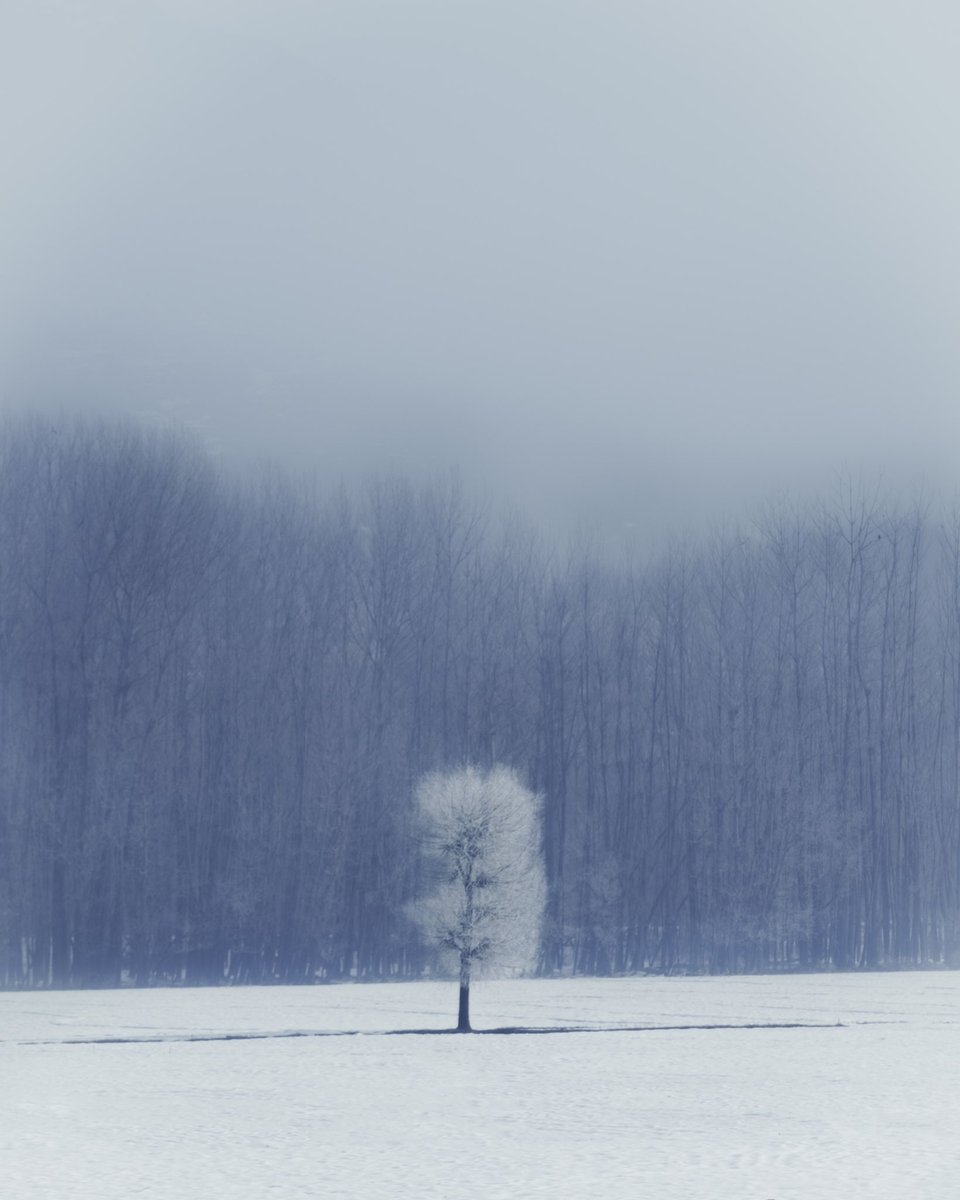 GM friends 🌻
#NFTCommmunity #nftphotography #nftartist #nftart