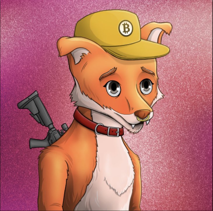 CryptaBotsNFT's tweet photo. #341 @RichFoxClub 🙌🏽 https://t.co/iDXdv9LM7f