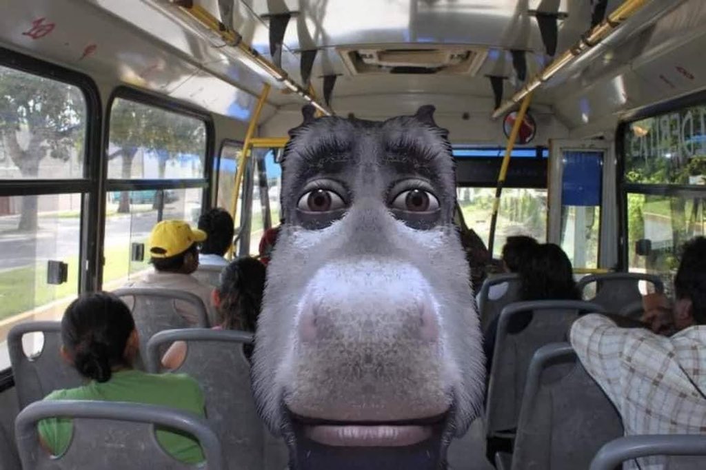 La señora que va parada mirándome para que le dé el asiento: