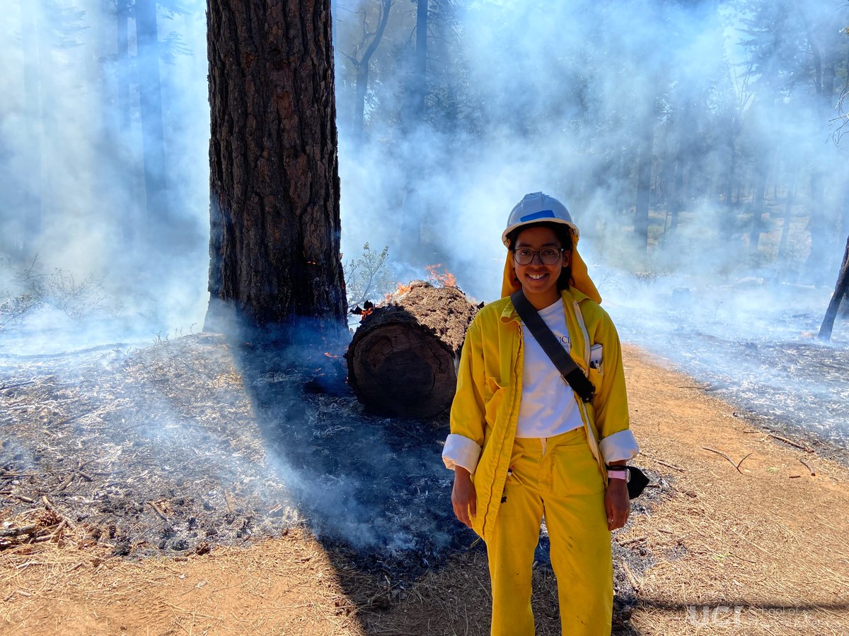 UC Irvine School of Physical Sciences (@uciphyssci) on Twitter photo Audrey Odwuor is a <a href="/uciess/">UCI ESS</a> Ph.D. student who studies particles in fire smoke with Profs <a href="/randersonjt/">James Randerson</a> (๐ธ) and Claudia Czimczik. Here she is at the Blodgett Forest Research Station <a href="/berkeleyforests/">Berkeley Forests</a> as part of SPARx (Smart Practices and Architectures for Rx fire in California). Audrey Odwuor is a <a href="/uciess/">UCI ESS</a> Ph.D. student who studies particles in fire smoke with Profs <a href="/randersonjt/">James Randerson</a> (๐ธ) and Claudia Czimczik. Here she is at the Blodgett Forest Research Station <a href="/berkeleyforests/">Berkeley Forests</a> as part of SPARx (Smart Practices and Architectures for Rx fire in California).
