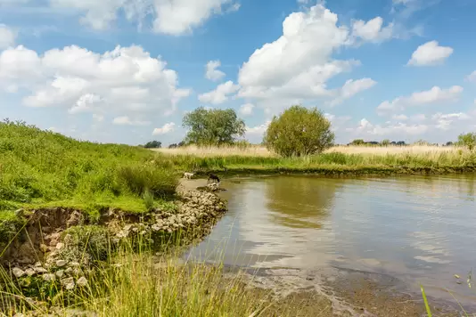 Gideon van Meijeren tweet media
