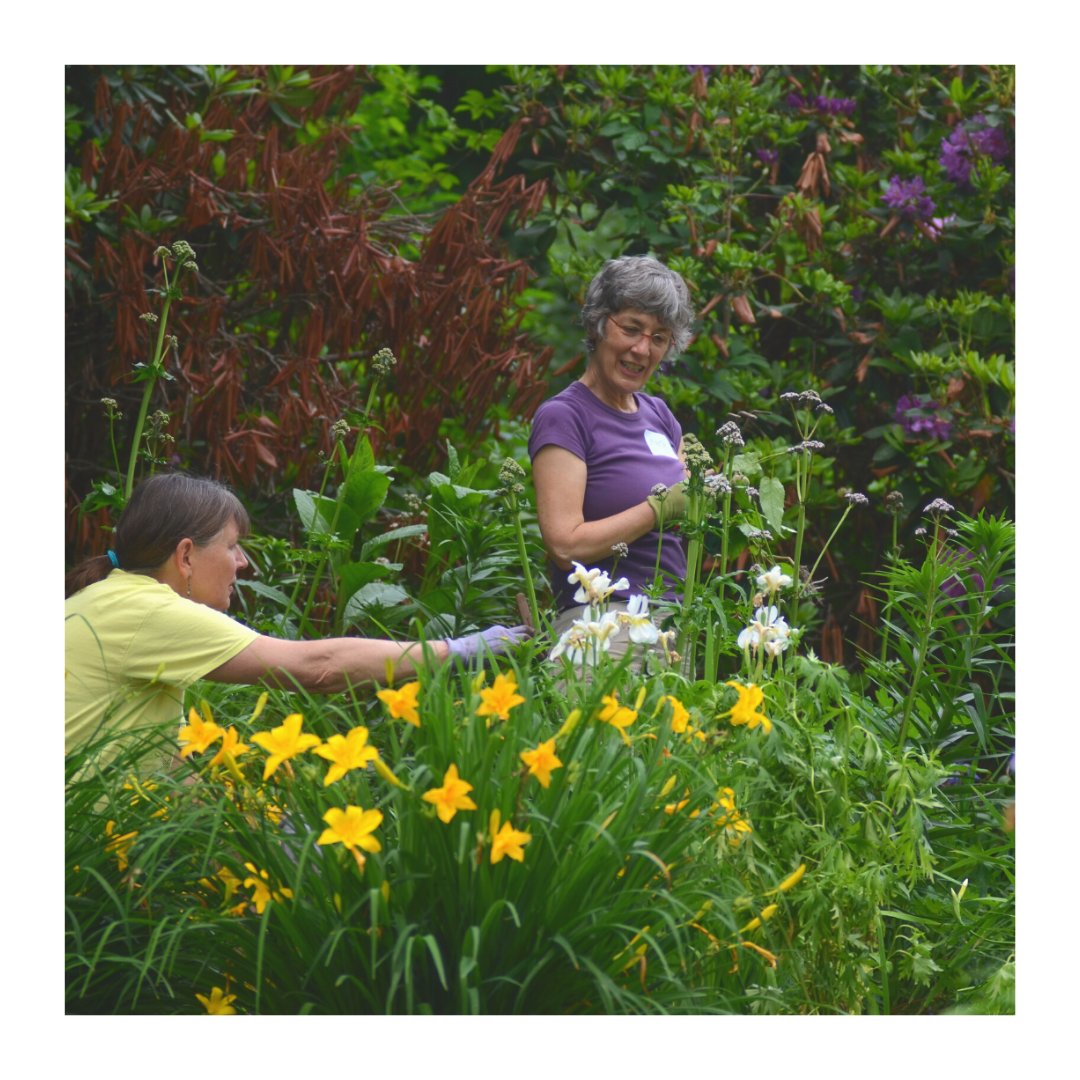 Emily Dickinson Museum tweet media