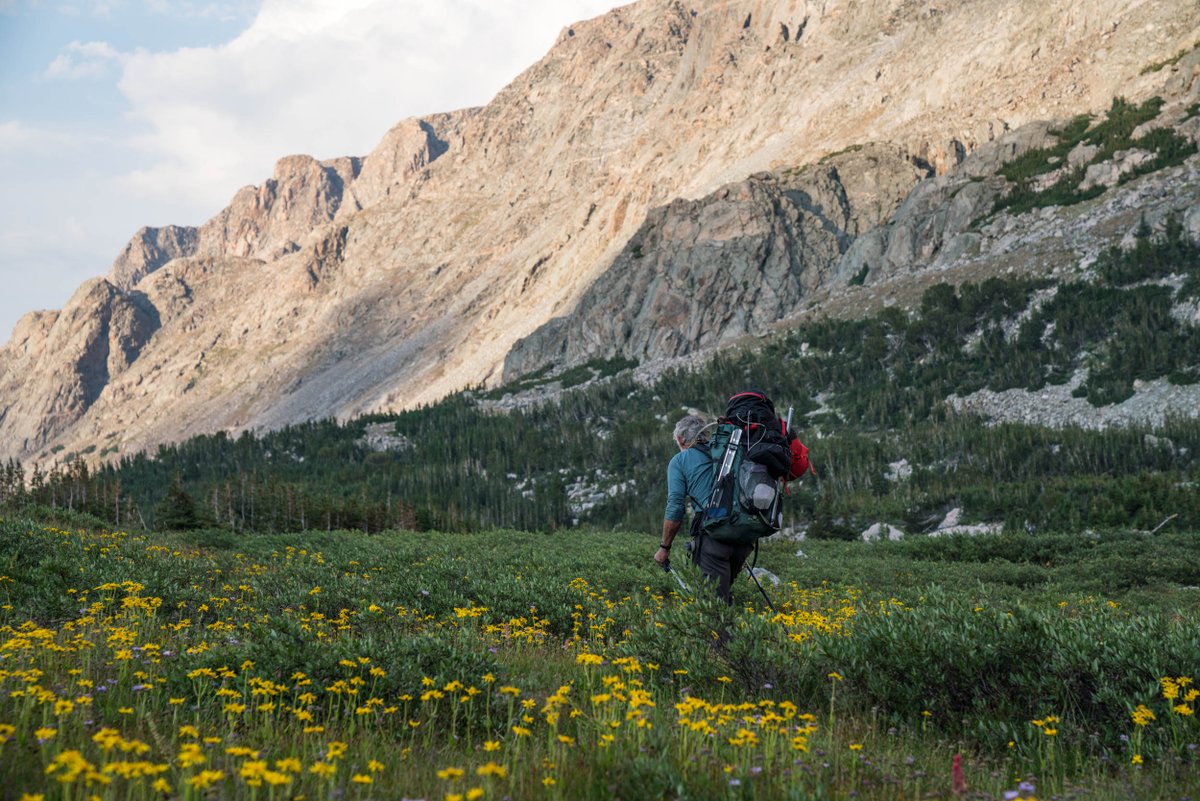 Spot Insurance tweet media