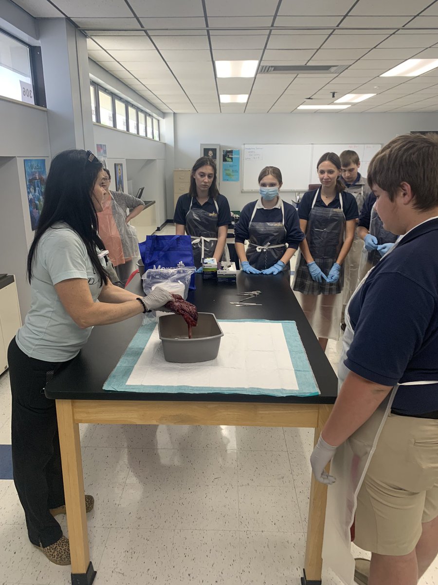 Thank you to Nicki Harriman from Mercy for bringing in placentas for us to study! <a href="/BorgiaHS/">St. Francis Borgia High School</a>