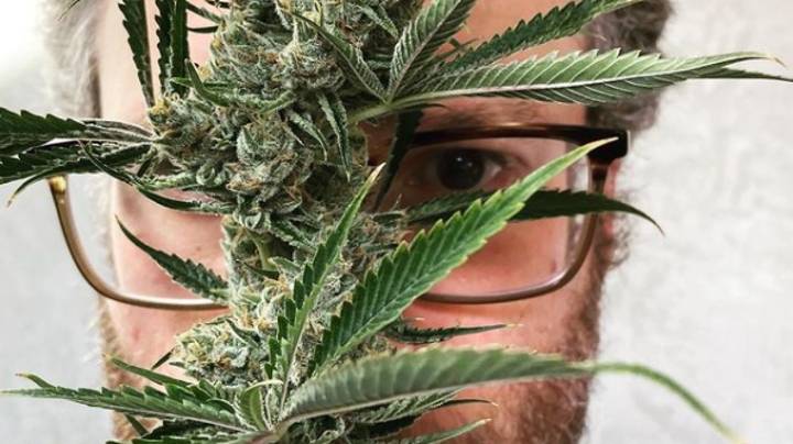Herbworthy's tweet photo. "I smoke weed all day, everyday. It is 100% intrinsic to my functionality and my life." -  @Sethrogen

Read: https://t.co/3edxuSUWvK https://t.co/JcbVpyMUHe
