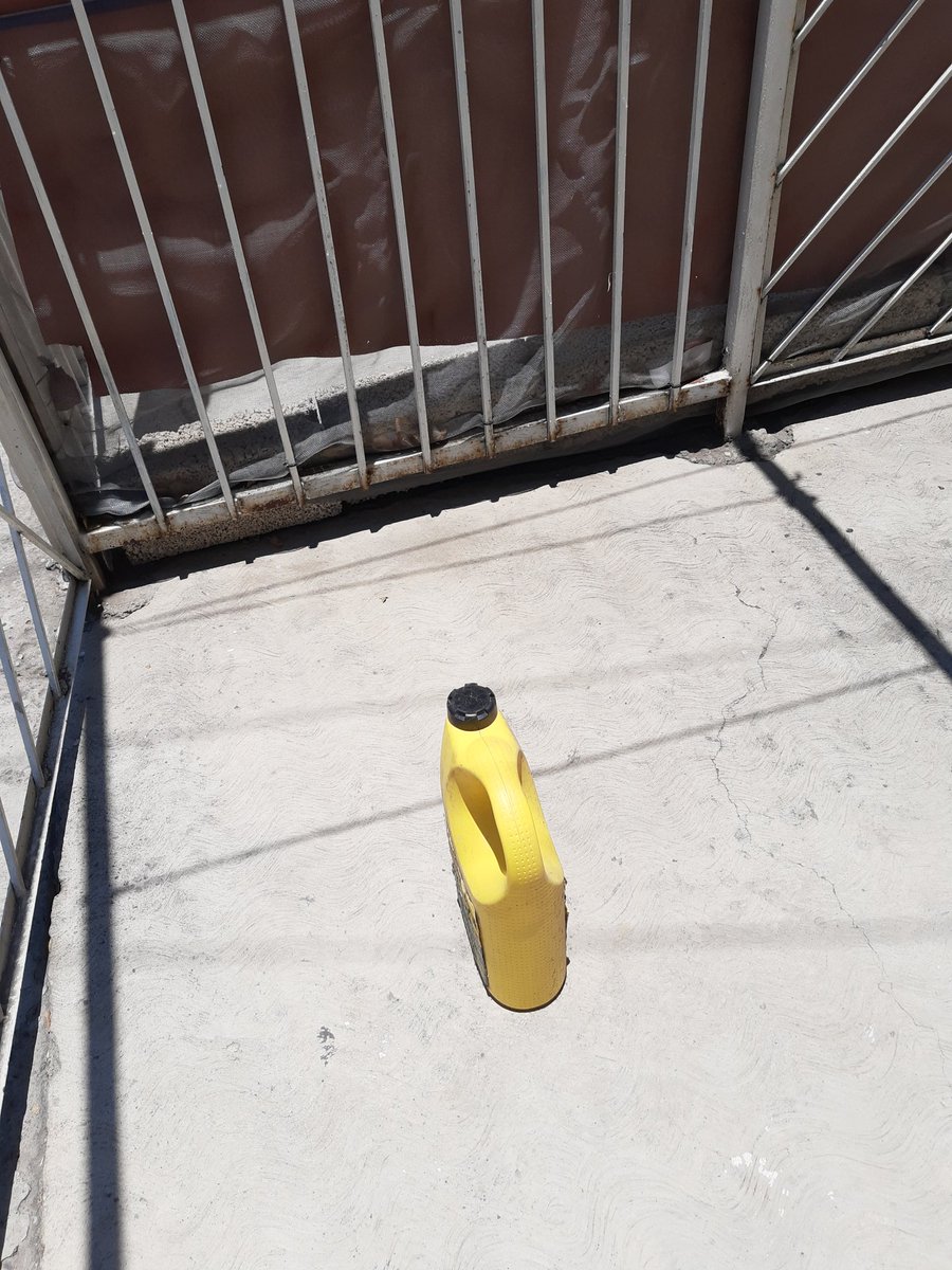 RicoSuavecin's tweet photo. Justo ahorita el sol está a 90° eso hace que los objetos en vertical no produzcan sombras. https://t.co/eDs5p5cAxJ