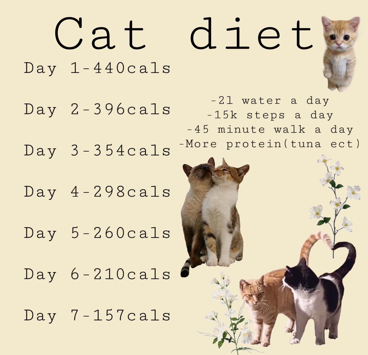 nocalshappylife's tweet photo. Guys look at this diet i made!-Cody https://t.co/iKpigeWs3N