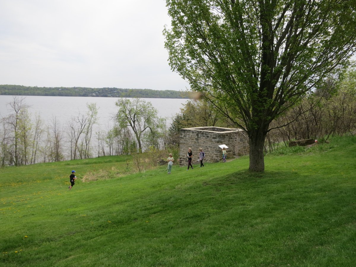Orienteering Ottawa tweet media