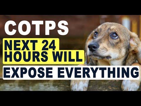 andrew_trading's tweet photo. #cotp #cotps #cotpswithdrawals #cotpsscam? #cotpsupdate https://t.co/9GqPnGHIol https://t.co/Wk6S8MyoWp