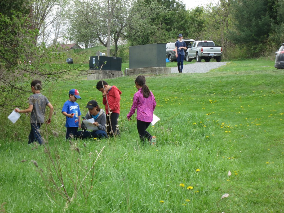Orienteering Ottawa tweet media