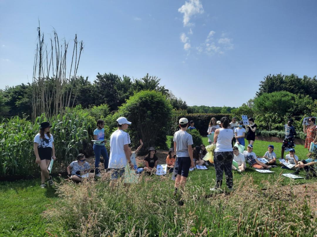 CollegeCasteret's tweet photo. Visite de #Chassenon par ts les 6e , vestiges #romains, #thermes, atelier Natura pour découvrir les plantes utilisées par les Romains. PEAC en @la_charente . Des trésors tout près de nos établissements, dévoilés grâce aux professeurs engagés @acpoitiers @CBetermin https://t.co/5K9N2eCAdX