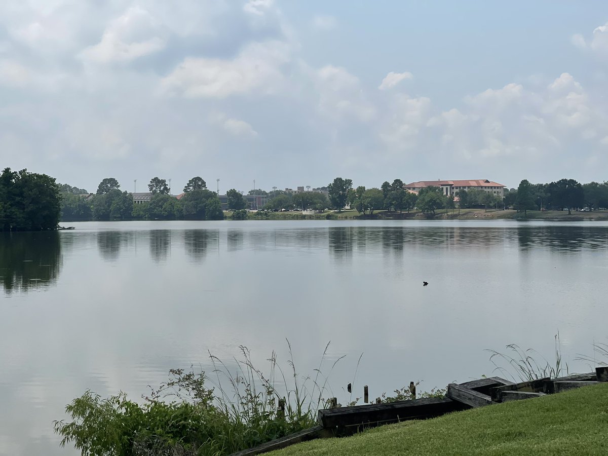 QueenMalarcher's tweet photo. #LSULakes my ocean in Baton Rouge around noon today.💦 https://t.co/0WYyUjc7JA