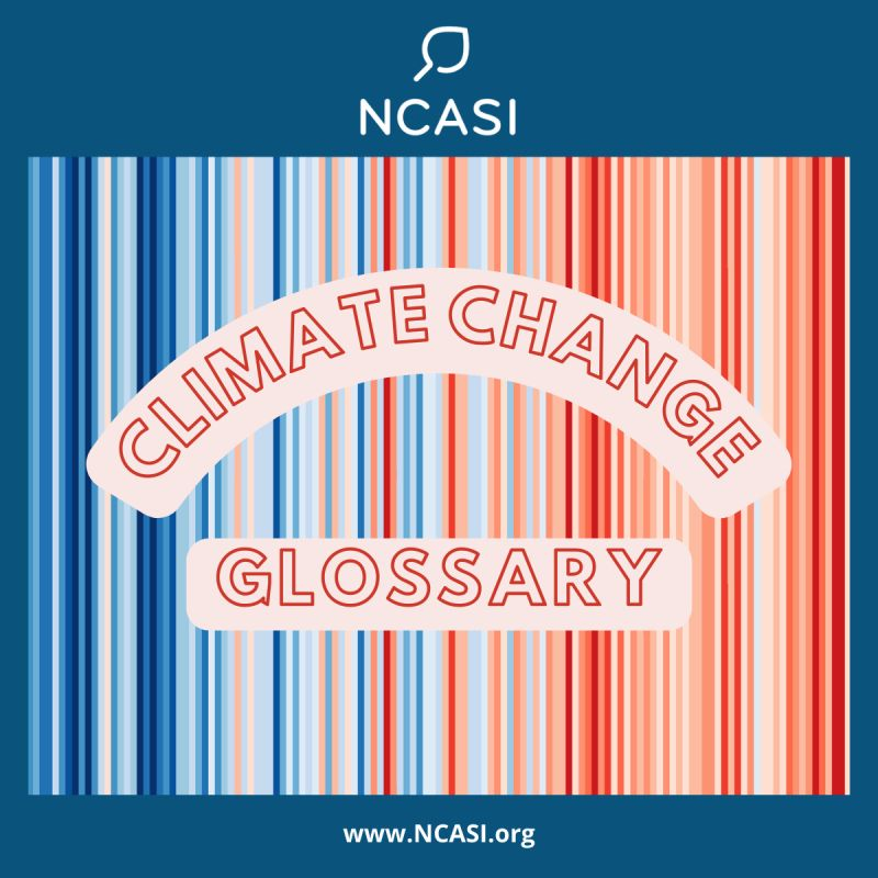 Adam Costanza tweet media