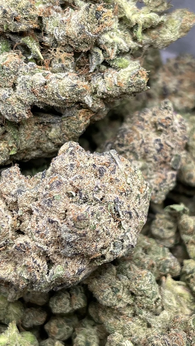 Have you tried our Motor Breath 15? 

It's GASSY and RELAX-Y

#ColoradoSprings 
#Cannabis 
#Medical

nationalgreensource.com