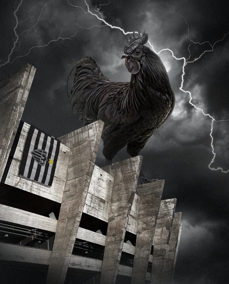 Neocom's tweet photo. @DeporFinanzas @Fenerbahce @Atletico 🐔🏆 https://t.co/FjdB33TDCe