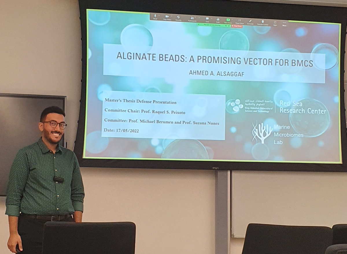 Inês Raimundo tweet media