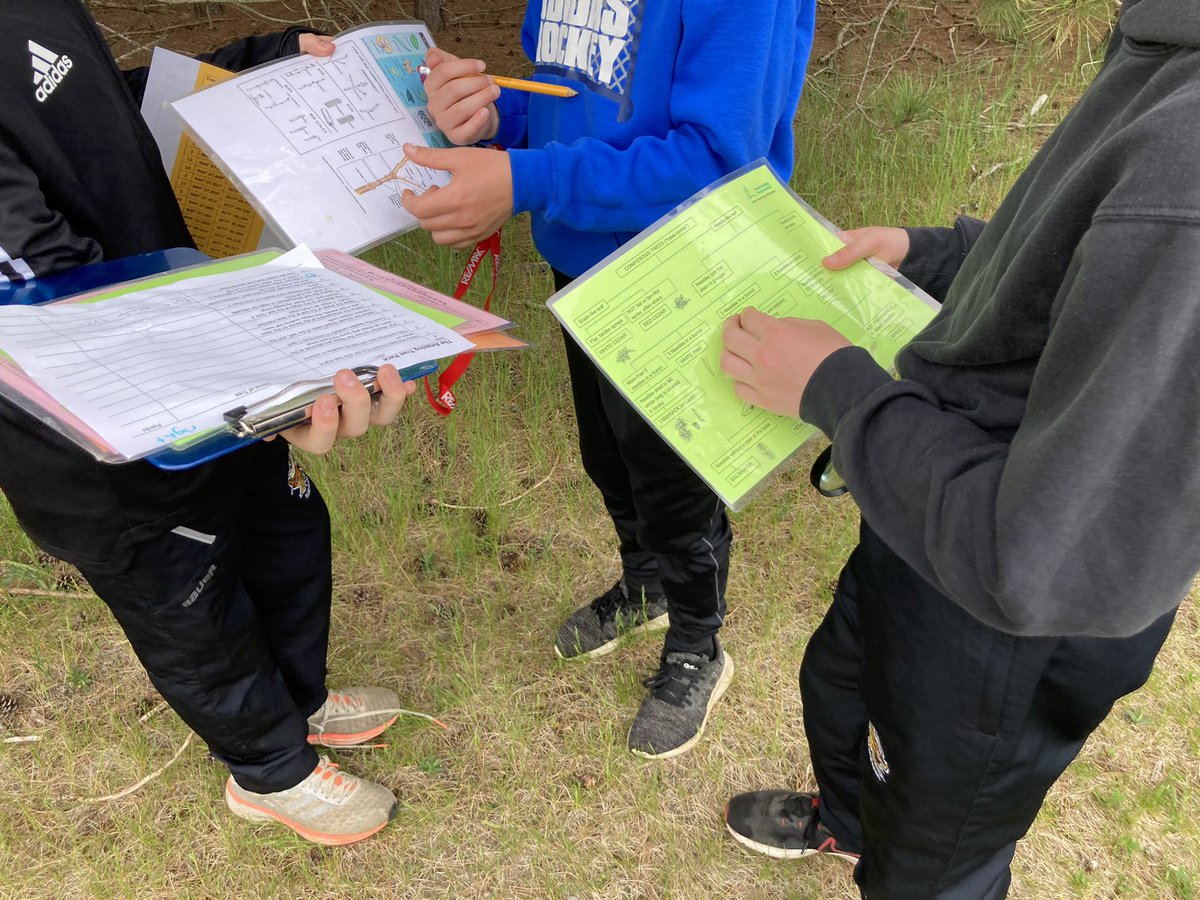 LoomisCentre's tweet photo. Monday morning was slow until we hit the trail with “The Amazing Tree ID Race” with Gr 6 @murraybears1967 “that was the most fun I have been had on a field trip!” was overheard 😁we knew that 🌲 🌳 ID was super fun! https://t.co/gu3H9WMEwv