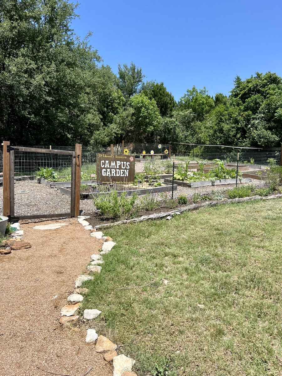 SEU_SFS's tweet photo. Garden Update 🌸🌻🪴

We need your help! Our garden has seen so much growth the past two years and we wish to expand it even more! If you are able to donate, please head to https://t.co/29swy9zn9P 

If you are unable to donate please help us share and spread the word! https://t.co/AUklYUT9Q6