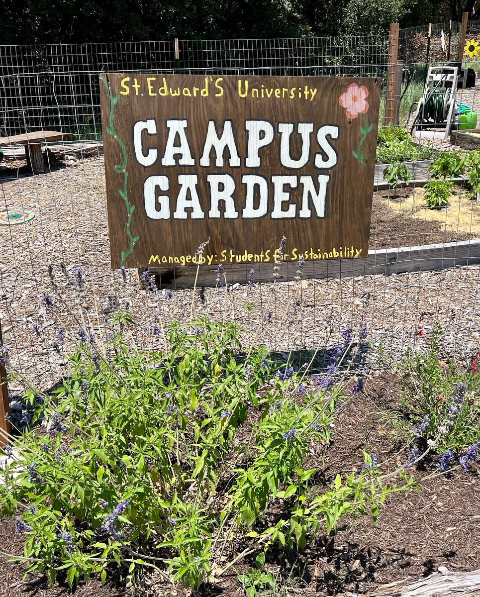 SEU_SFS's tweet photo. Garden Update 🌸🌻🪴

We need your help! Our garden has seen so much growth the past two years and we wish to expand it even more! If you are able to donate, please head to https://t.co/29swy9zn9P 

If you are unable to donate please help us share and spread the word! https://t.co/AUklYUT9Q6