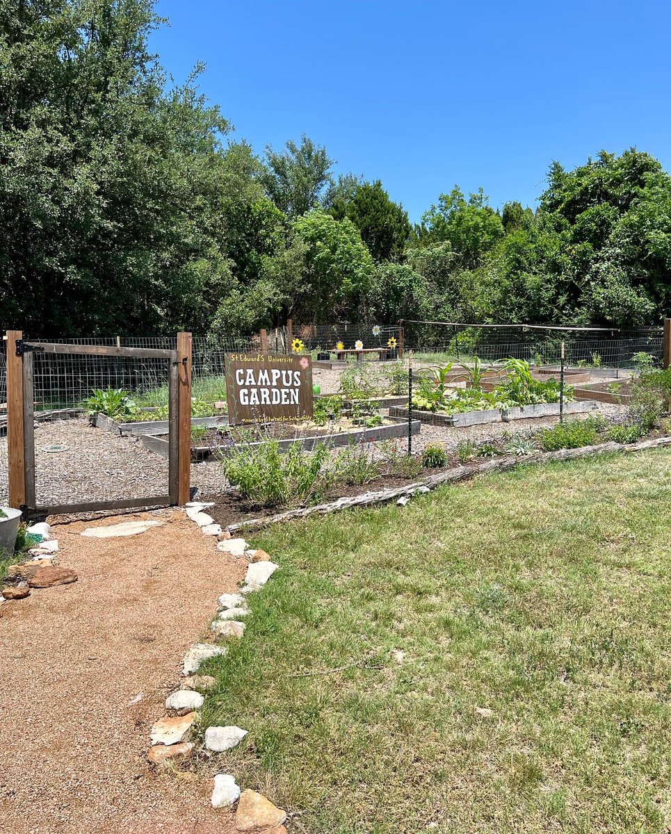 SEU_SFS's tweet photo. Garden Update 🌸🌻🪴

We need your help! Our garden has seen so much growth the past two years and we wish to expand it even more! If you are able to donate, please head to https://t.co/29swy9zn9P 

If you are unable to donate please help us share and spread the word! https://t.co/AUklYUT9Q6