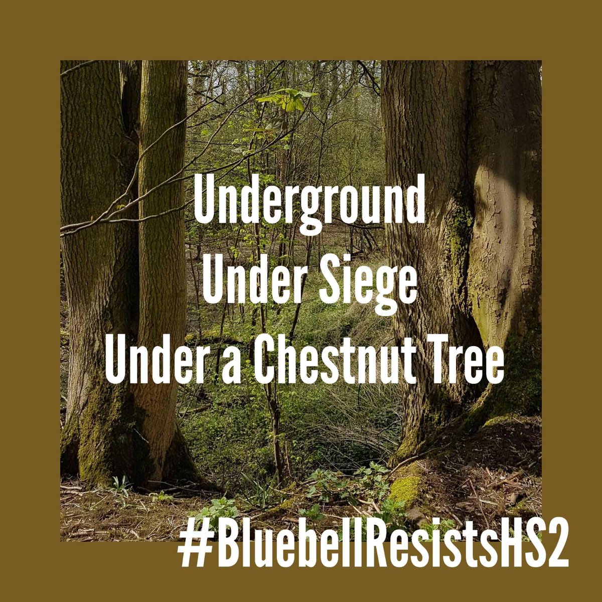 Hs2Rebellion's tweet photo. 3 sites held! 6 days of eviction at #BluebellWoodsProtectionCamp
We can't yet confirm if the tunnellers underground have an air supply 
B Camp is not on HS2 land, but fenced in, under siege
A 3rd camp now supports the eviction from under a nearby chestnut tree
#BluebellResistsHS2 https://t.co/CtJn2wHcFS