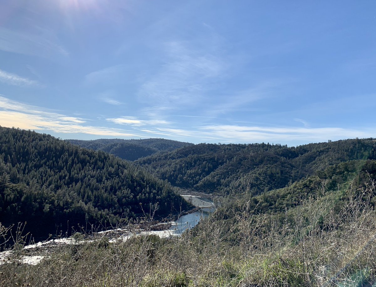 Diane_Y's tweet photo. Lovely day on the trail, just what we needed, 5 miles in the books! 🥾 #hikewithdogs #hikewithfriends #naturelovers #hiking #wildflowers #nature #California https://t.co/C7mCbVNrNc