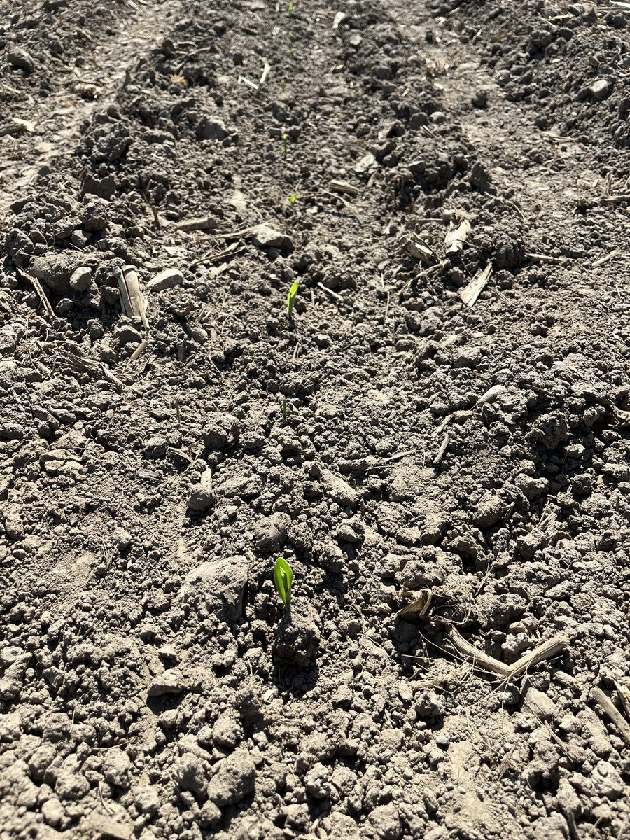Hello there - babies are up
