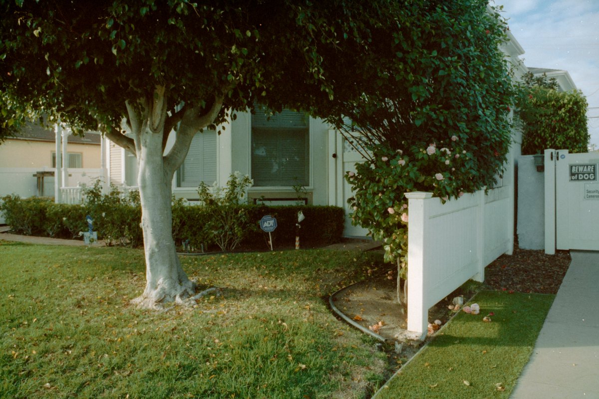 mrmaxcremer's tweet photo. California on film 🎞 https://t.co/cv8r3t2voI