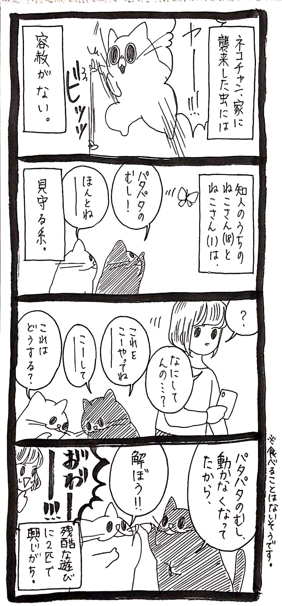 新製品情報も満載 ❀うさねこ16様専用❀ sonrimexpolanco.com